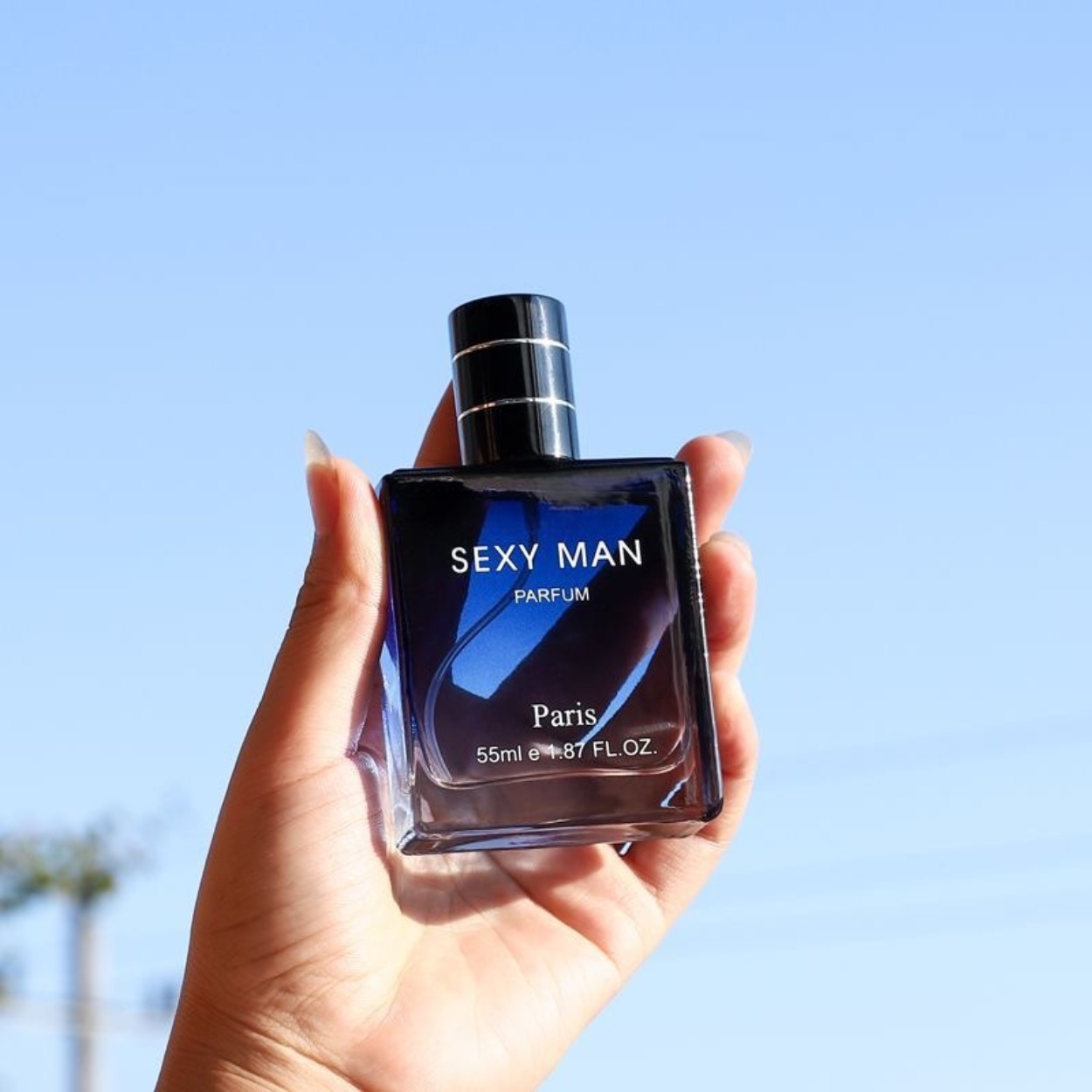 Fragrance Long Lasting Perfume - Profumo da uomo legnoso e marino